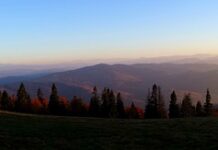 Gdzie na spacer w Beskidach?