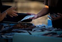 Co warto sprzedawać w 2023? Co warto sprzedawać w 2023?