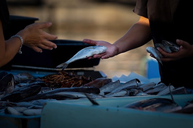 Co można sprzedawać z zyskiem? Co można sprzedawać z zyskiem?