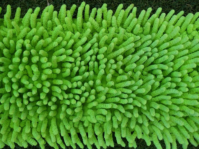 Co zamiast mopa? Co zamiast mopa?