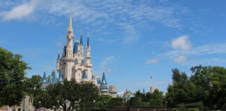Czy karma Orlando Pure Taste jest dobra?