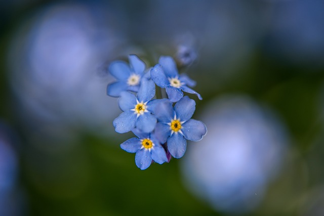 Czy apap jest bezpieczny w ciąży? Czy apap jest bezpieczny w ciąży?