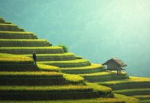 Ile czasu leci się na Bali? Ile czasu leci się na Bali?