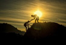 Kiedy zacząć pracę z młodym koniem?
