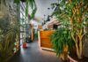 Resto Bar Gallery Zielone Tarasy – oranżeria urządzona ze smakiem