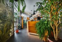 Resto Bar Gallery Zielone Tarasy – oranżeria urządzona ze smakiem Resto Bar Gallery Zielone Tarasy – oranżeria urządzona ze smakiem