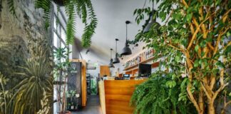 Resto Bar Gallery Zielone Tarasy – oranżeria urządzona ze smakiem
