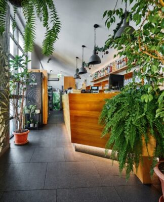 Resto Bar Gallery Zielone Tarasy – oranżeria urządzona ze smakiem