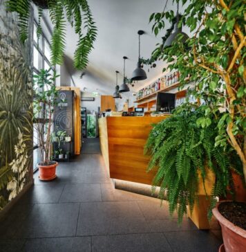 Resto Bar Gallery Zielone Tarasy – oranżeria urządzona ze smakiem