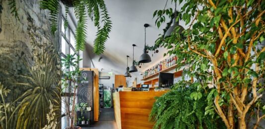 Resto Bar Gallery Zielone Tarasy – oranżeria urządzona ze smakiem Resto Bar Gallery Zielone Tarasy – oranżeria urządzona ze smakiem