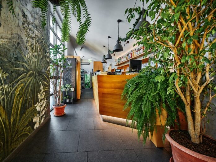 Resto Bar Gallery Zielone Tarasy – oranżeria urządzona ze smakiem